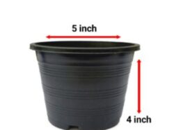 5*4 Pot 12 pieces
