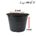 6*4 Pot 12 pieces
