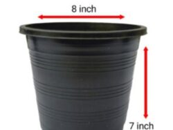 8*7 Pot – 12+1 pieces