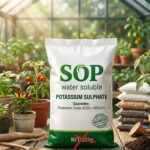 Sulphate of Potash (SOP) 250g  (For Fruits and Vegetables) - Image 3