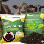 Gobar compost 5kg - Image 3