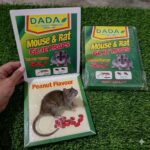 Mouse Trap book 1 piece