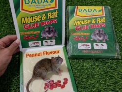 Mouse Trap book 1 piece