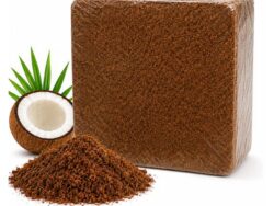 Cocopeat Block 3kg – Natural Soil Conditioner for Plants