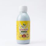 SEAWEED 100ml (Organic Liquid Fertilizer)