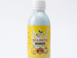 SEAWEED 100ml (Organic Liquid Fertilizer)