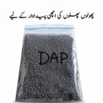 DAP 500g