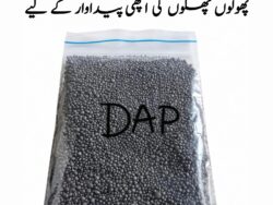 DAP 500g