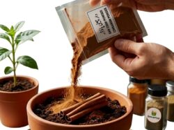 Organic fungicide 50g