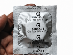 GA3 Acid Tablet-10gram Growth Booster