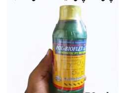 Termite Killer 50ml– Powerful Termite Control Solution