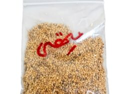 V1 Methi Seeds-Fenugreek