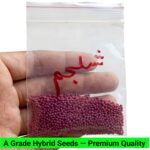 V5 Shaljam Seeds