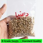 V6 Coriander Seeds-Dhania
