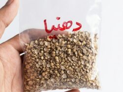 V6 Coriander Seeds-Dhania