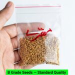 V12 Methry Seeds