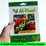 V14 Green Chilli Seeds