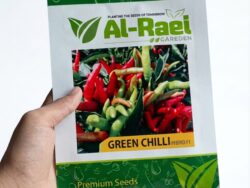 V14 Green Chilli Seeds