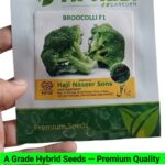 V17 Broccoli Seeds