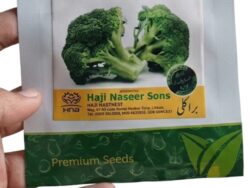 V17 Broccoli Seeds