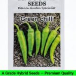 V19 Green Chilli Seeds