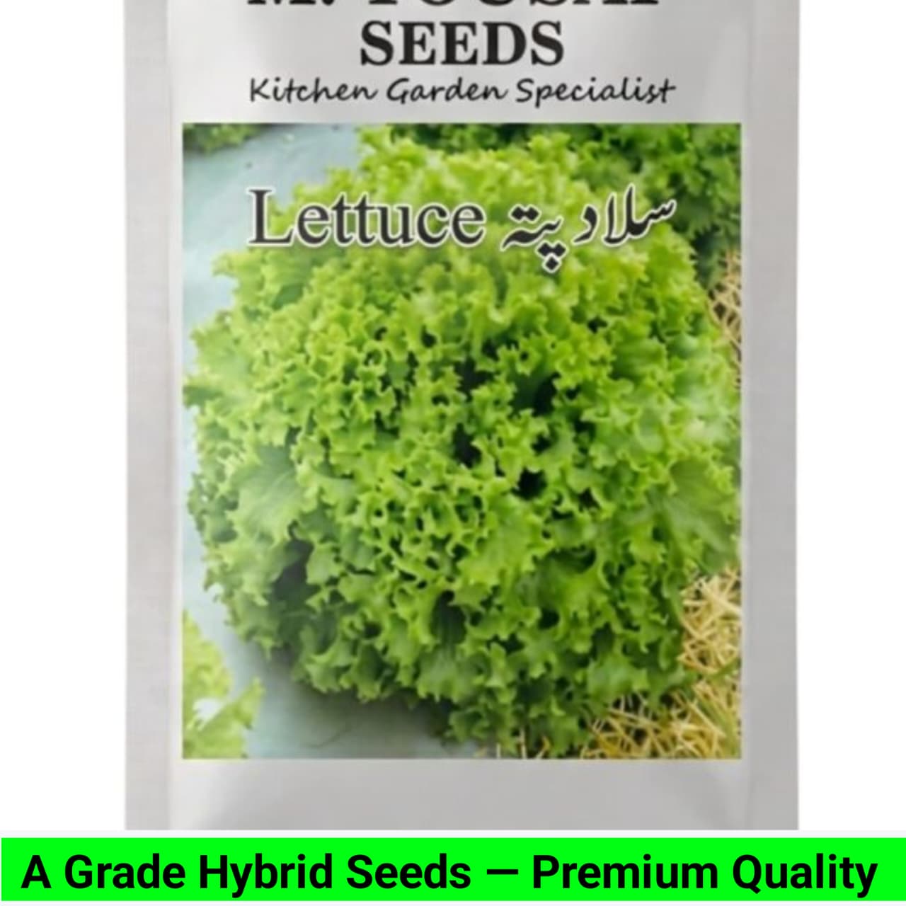 WhatsApp Image 2026-09-10 at 12.45.37 PM V18 Salad Patta Seeds - Image 1