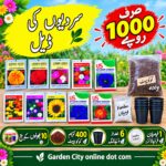 10 flower seeds+cocopeat+fumilan fertilizer+6 seedling pots package