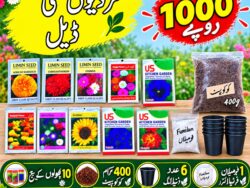 10 flower seeds+cocopeat+fumilan fertilizer+6 seedling pots package