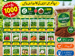 18 Seeds and cocopeat package